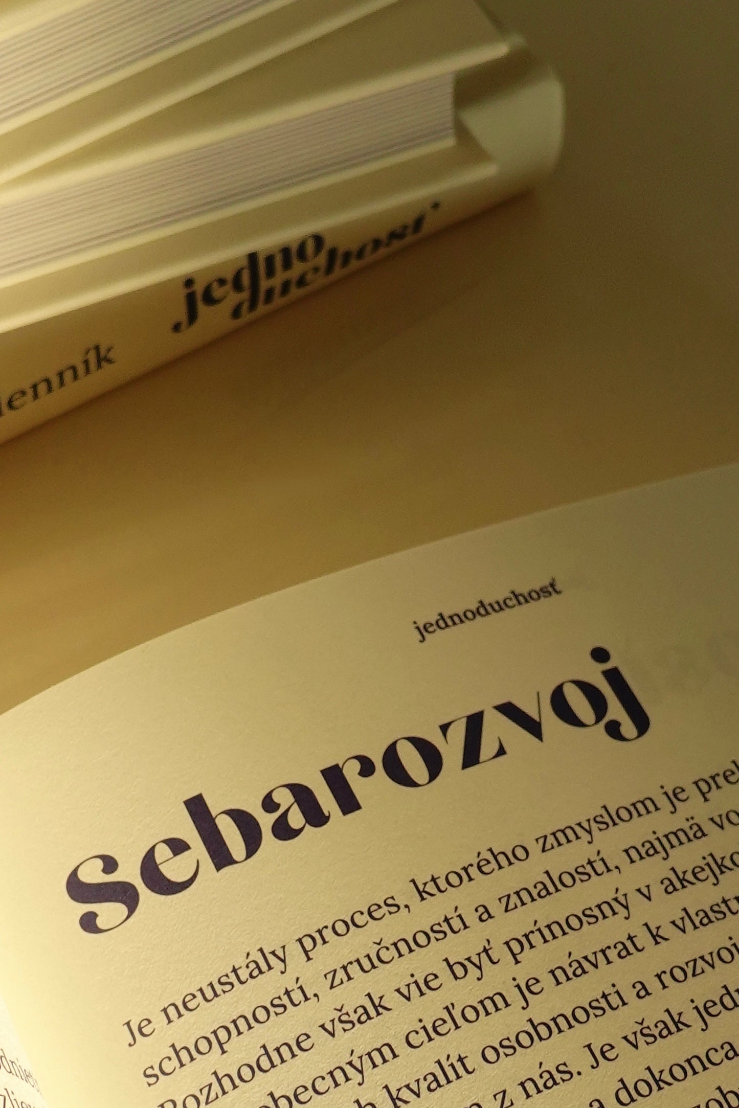 Interaktívny denník Jednoduchosť